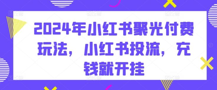 2024年小红书聚光付费玩法，小红书投流，充钱就开挂-天孤无涯网