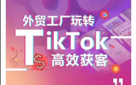 外贸工厂玩转TikTok高效获客，多种引流方式与账号定位技巧，拆解爆款短视频打造成功案例-天孤无涯网