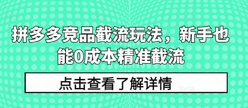 拼多多竞品截流玩法，新手也能0成本精准截流-天孤无涯网