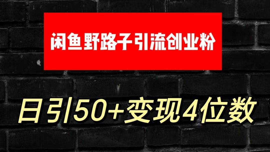 大眼闲鱼野路子引流创业粉，日引50+单日变现四位数-天孤无涯网