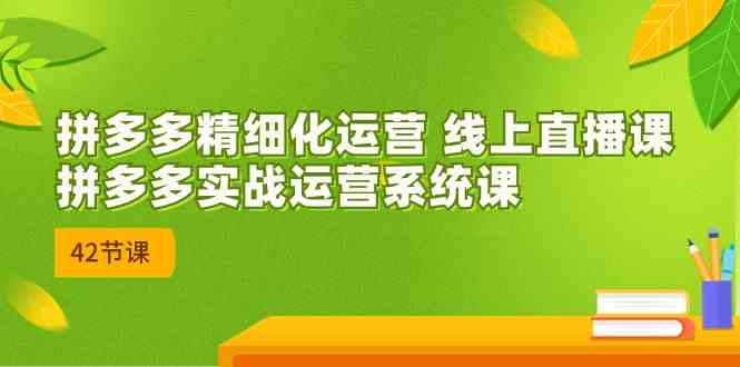 拼多多精细化运营 线上直播课：拼多多实战运营系统课（更新47节）-天孤无涯网