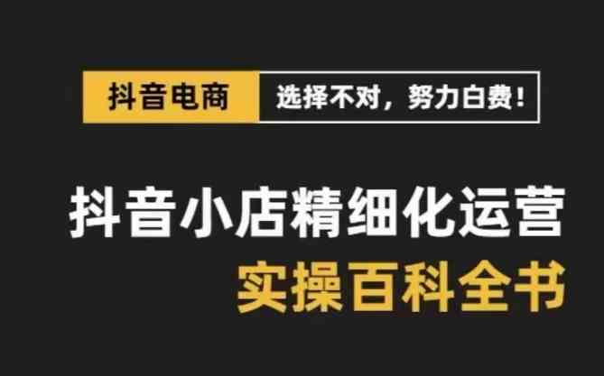 抖音小店精细化运营百科全书，保姆级运营实战讲解（更新）-天孤无涯网