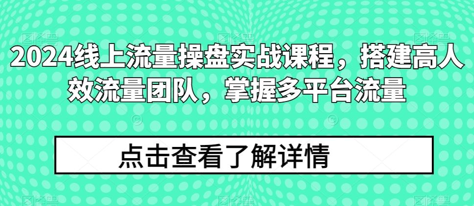 2024线上流量操盘实战课程，搭建高人效流量团队，掌握多平台流量-天孤无涯网
