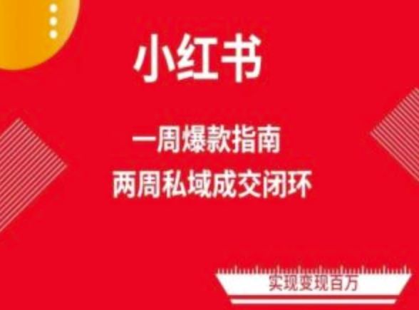 爆款小红书免费流量体系课程(两周变现)，小红书电商教程-天孤无涯网