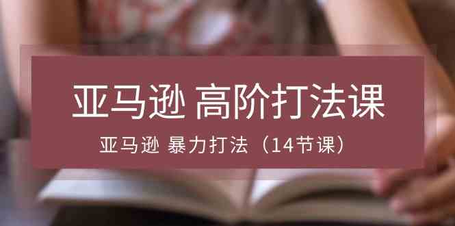 亚马逊高阶打法课，亚马逊暴力打法（14节课）-天孤无涯网