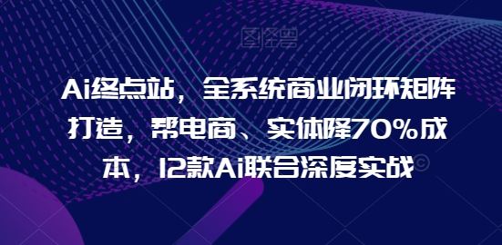 Ai终点站，全系统商业闭环矩阵打造，帮电商、实体降70%成本，12款Ai联合深度实战-天孤无涯网