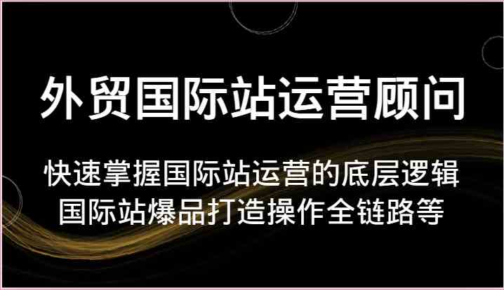外贸国际站运营顾问-快速掌握国际站运营的底层逻辑，国际站爆品打造操作全链路等-天孤无涯网