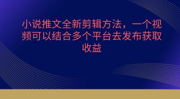 小说推文全新剪辑方法，一个视频可以结合多个平台去发布获取【揭秘】-天孤无涯网