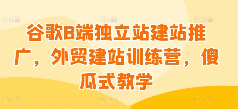 谷歌B端独立站建站推广，外贸建站训练营，傻瓜式教学-天孤无涯网