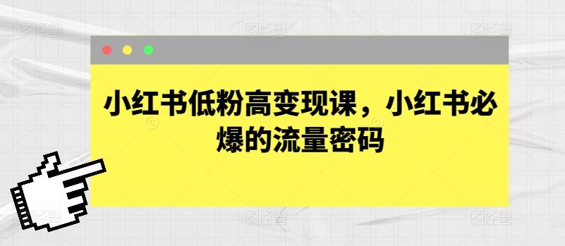 小红书低粉高变现课，小红书必爆的流量密码-天孤无涯网