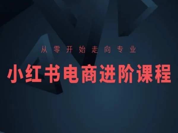 从零开始走向专业，小红书电商进阶课程-天孤无涯网