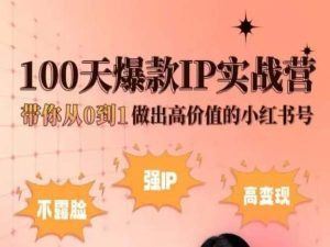 小红书100天爆款IP实战营，带你从0到1做出高价值的小红书号-天孤无涯网