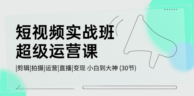短视频实战班超级运营课 |剪辑|拍摄|运营|直播|变现 小白到大神 (30节)-天孤无涯网