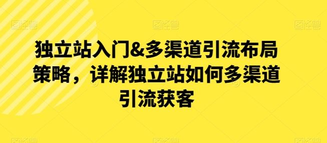 独立站入门&多渠道引流布局策略，详解独立站如何多渠道引流获客-天孤无涯网
