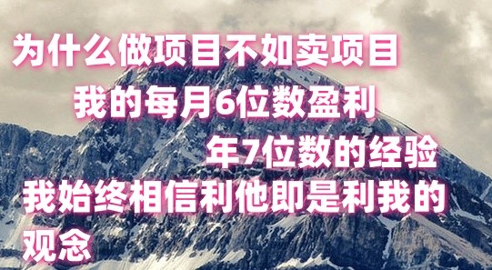做项目不如卖项目，每月6位数盈利，年7位数经验-天孤无涯网
