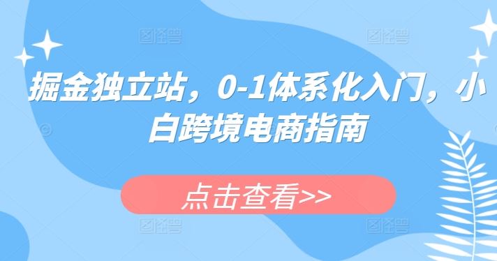 掘金独立站，0-1体系化入门，小白跨境电商指南-天孤无涯网