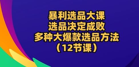 暴利选品大课：选品决定成败，教你多种大爆款选品方法(12节课)-天孤无涯网