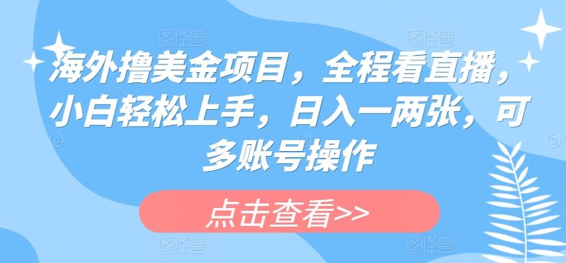 海外撸美金项目，全程看直播，小白轻松上手，日入一两张，可多账号操作【揭秘】-天孤无涯网