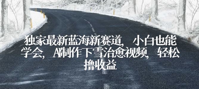 独家最新蓝海新赛道，小白也能学会，AI制作下雪治愈视频，轻松撸收益【揭秘】-天孤无涯网