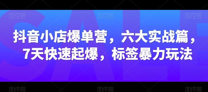 抖音小店爆单营，六大实战篇，7天快速起爆，标签暴力玩法-天孤无涯网