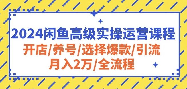 2024闲鱼高级实操运营课程：开店/养号/选择爆款/引流/月入2万/全流程-天孤无涯网