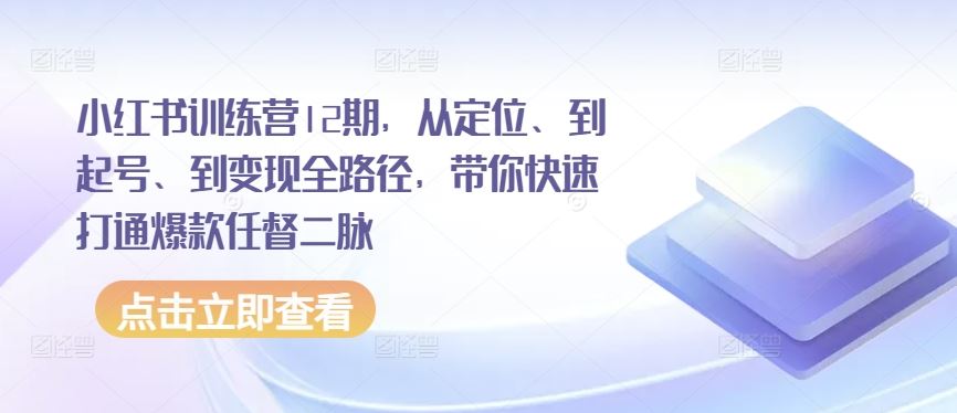 小红书训练营12期，从定位、到起号、到变现全路径，带你快速打通爆款任督二脉-天孤无涯网