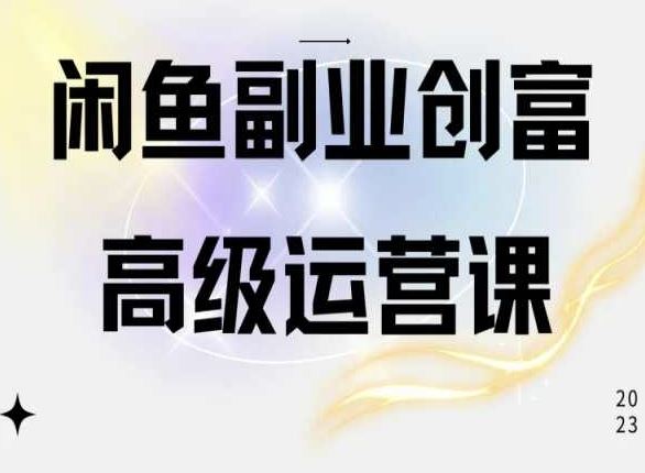闲鱼电商运营高级课程，一部手机学会闲鱼开店赚钱-天孤无涯网
