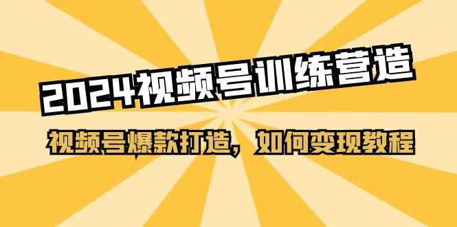 2024视频号训练营，视频号爆款打造，如何变现教程（20节课）-天孤无涯网