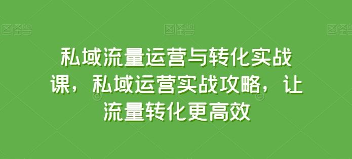 私域流量运营与转化实战课，私域运营实战攻略，让流量转化更高效-天孤无涯网
