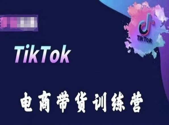 TikTok电商带货训练营，跟随时代潮流，跨境掘金-天孤无涯网