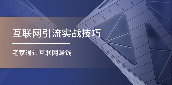 互联网引流实操技巧(适合微商，吸引宝妈)，宅家通过互联网赚钱（17节）-天孤无涯网