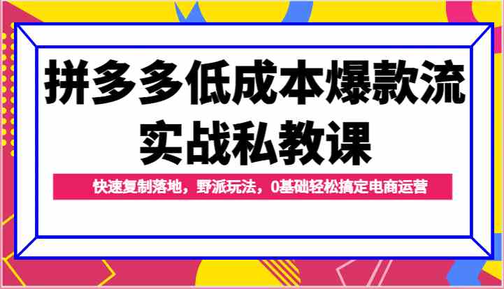 拼多多低成本爆款流实战私教课，快速复制落地，野派玩法，0基础轻松搞定电商运营-天孤无涯网