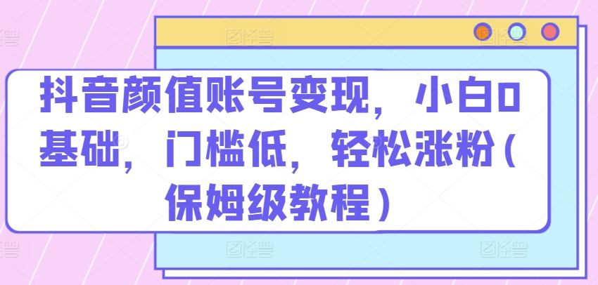 抖音颜值账号变现，小白0基础，门槛低，​轻松涨粉(保姆级教程)【揭秘】-天孤无涯网