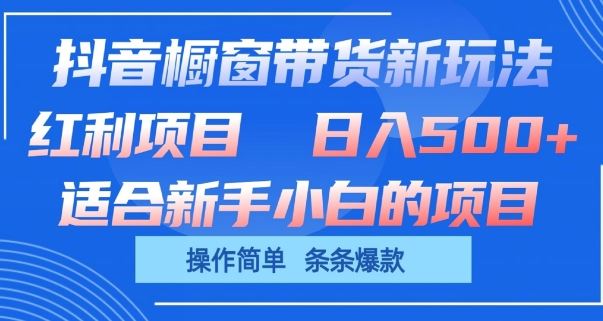 抖音橱窗带货新玩法，单日收益几张，操作简单，条条爆款【揭秘】-天孤无涯网