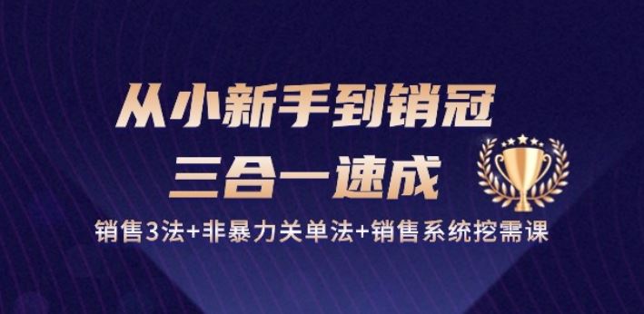 从小新手到销冠 三合一速成：销售3法+非暴力关单法+销售系统挖需课 (27节)-天孤无涯网