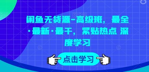 闲鱼无货源-高级班，最全·最新·最干，紧贴热点 深度学习-天孤无涯网