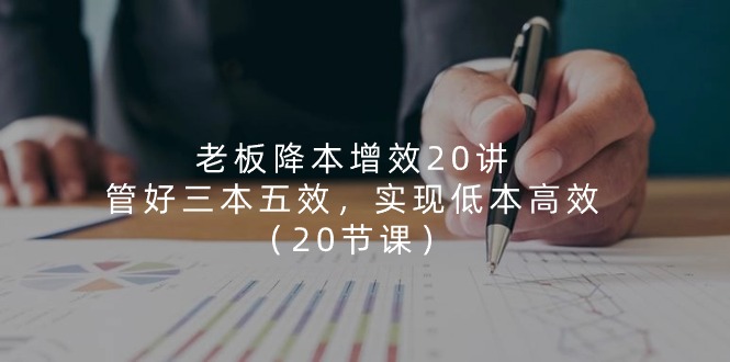 老板降本增效20讲，管好三本五效，实现低本高效（20节课）-天孤无涯网
