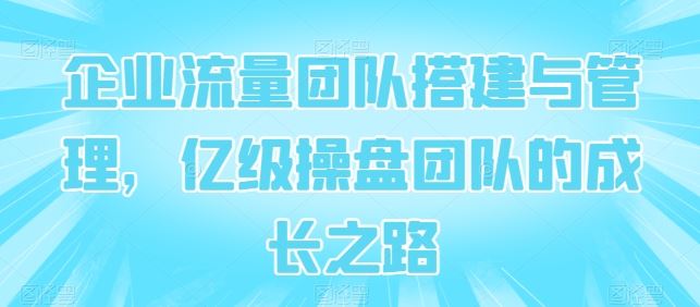 企业流量团队搭建与管理，亿级操盘团队的成长之路-天孤无涯网