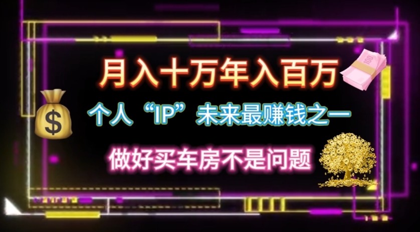 个人“ip”月入10w，年入100w-天孤无涯网