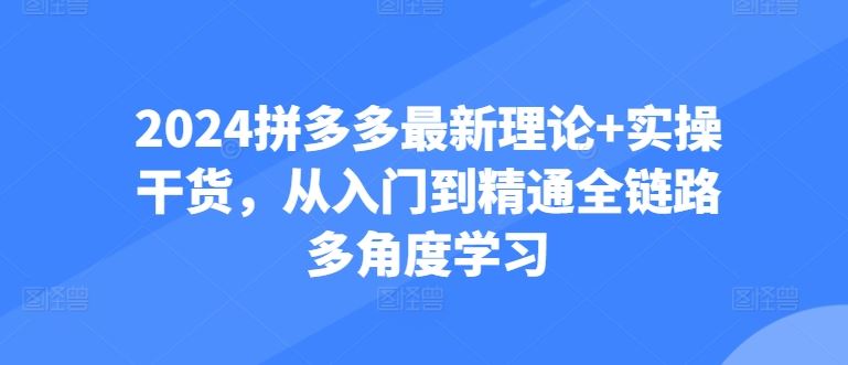 2024拼多多最新理论+实操干货，从入门到精通全链路多角度学习-天孤无涯网