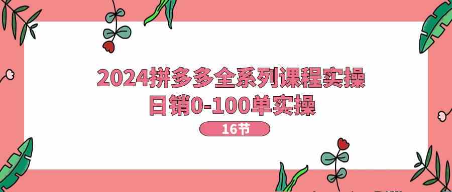 2024拼多多全系列课程实操，日销0-100单实操【16节课】-天孤无涯网