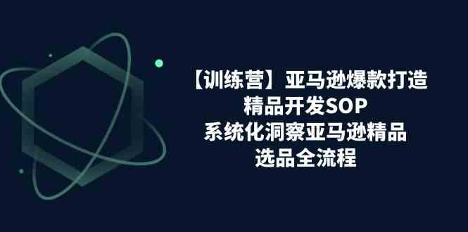 亚马逊爆款打造之精品开发SOP【训练营】，系统化洞察亚马逊精品选品全流程-天孤无涯网