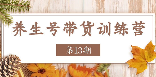 养生号带货训练营【第13期】收益更稳定的玩法，让你带货收益爆炸-天孤无涯网