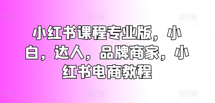 小红书课程专业版，小白，达人，品牌商家，小红书电商教程-天孤无涯网