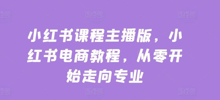 小红书课程主播版，小红书电商教程，从零开始走向专业-天孤无涯网