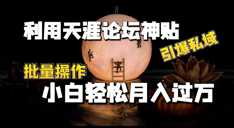 利用天涯论坛神贴，引爆私域，批量操作，小白轻松月入过w【揭秘】-天孤无涯网