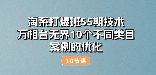 淘系打爆班55期技术：万相台无界10个不同类目案例的优化(10节)-天孤无涯网