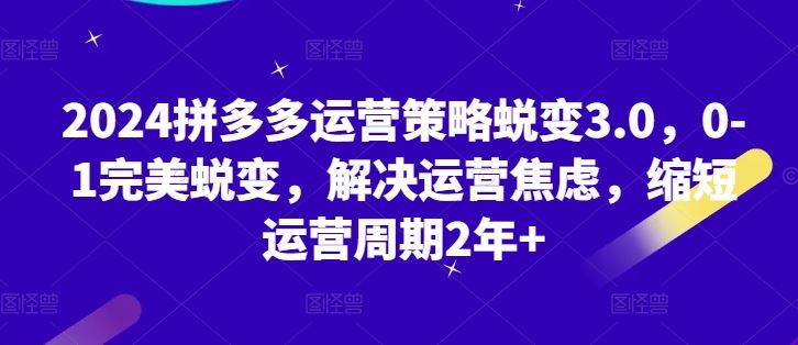 2024拼多多运营策略蜕变3.0，0-1完美蜕变，解决运营焦虑，缩短运营周期2年+-天孤无涯网