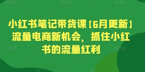 小红书笔记带货课【6月更新】流量电商新机会，抓住小红书的流量红利-天孤无涯网