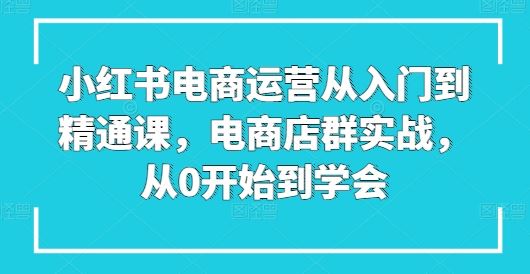 小红书电商运营从入门到精通课，电商店群实战，从0开始到学会-天孤无涯网